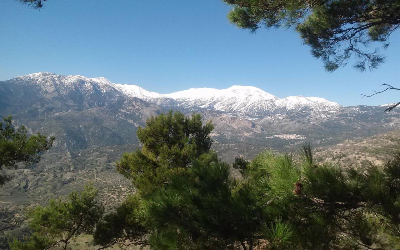 Anópolis Valley View House מראה חיצוני תמונה