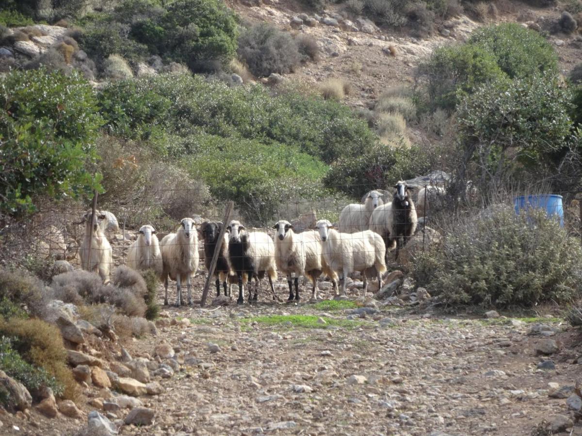 Anópolis Valley View House מראה חיצוני תמונה
