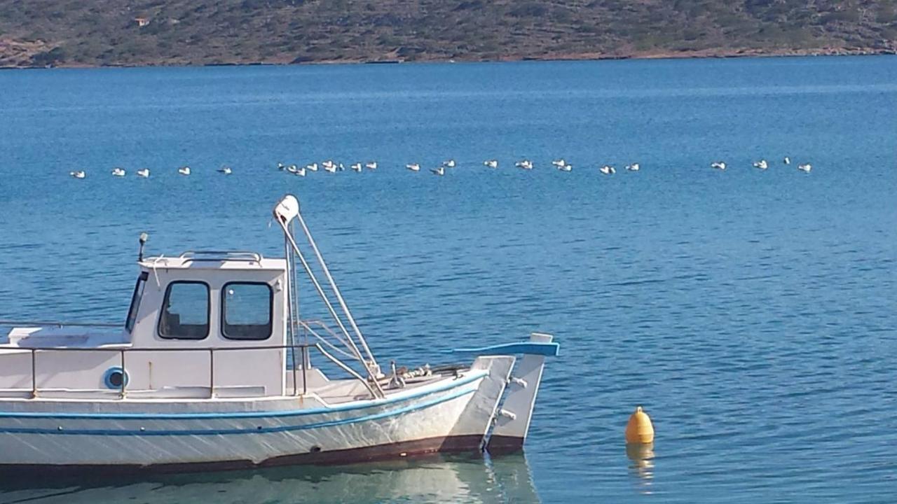 Anópolis Valley View House מראה חיצוני תמונה