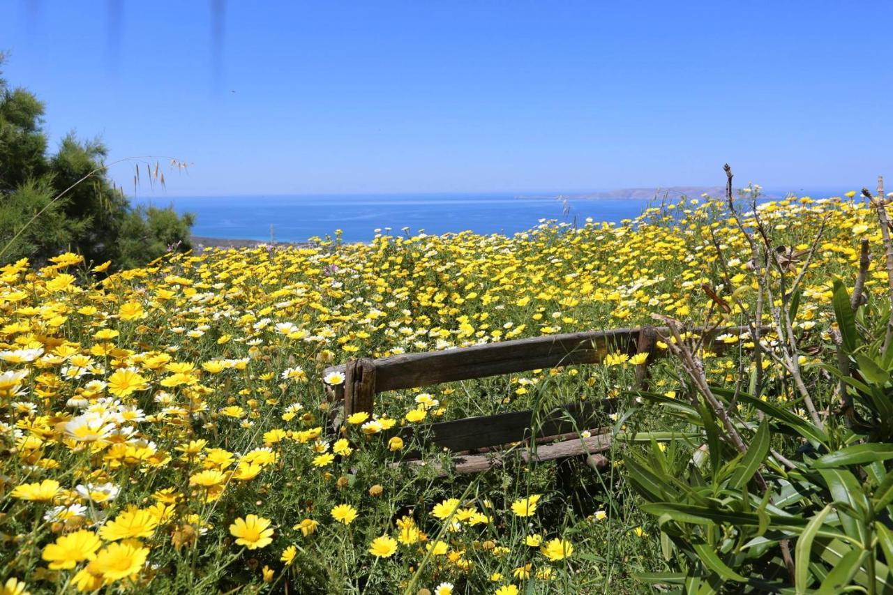 Anópolis Valley View House מראה חיצוני תמונה
